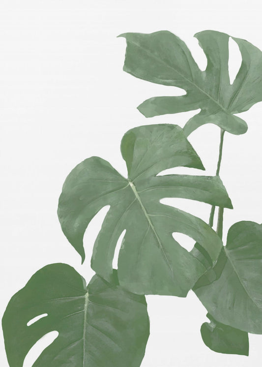 Monstera Aqua 03 | Poster