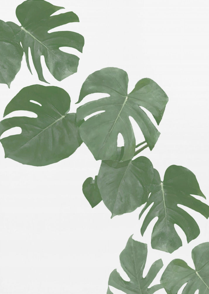 Monstera Aqua 02 | Poster