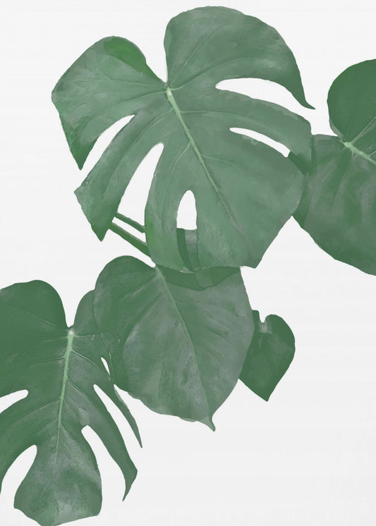 Monstera Aqua 01 | Canvas