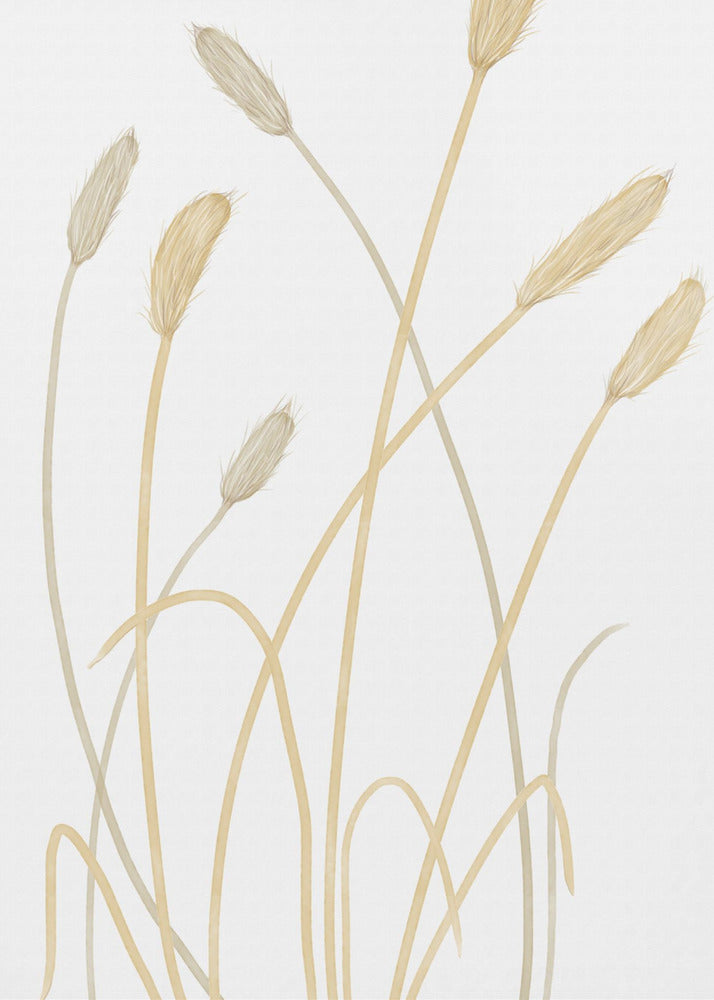 Bunny Grass 01 | Canvas