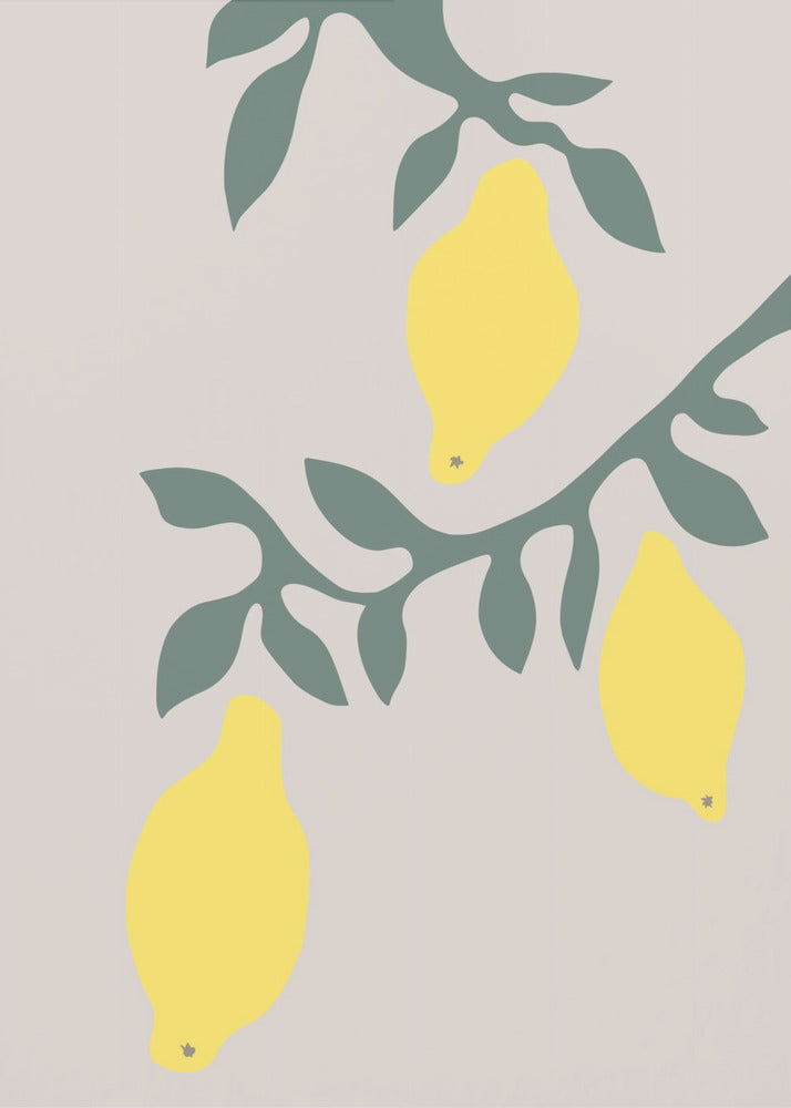 Lemons | Canvas