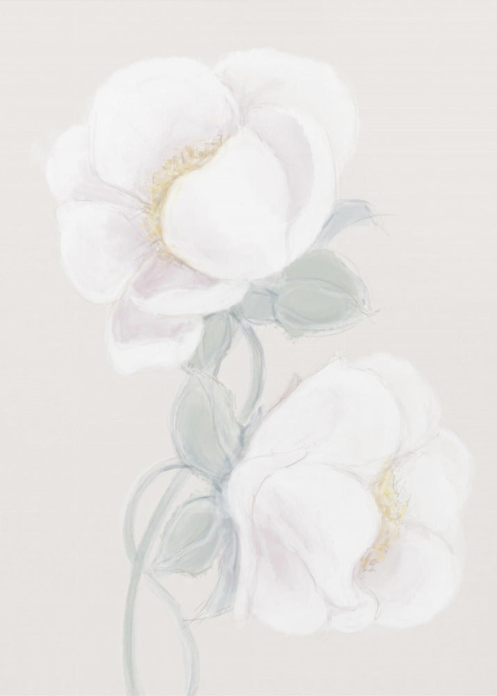 Lush Peony | Canvas