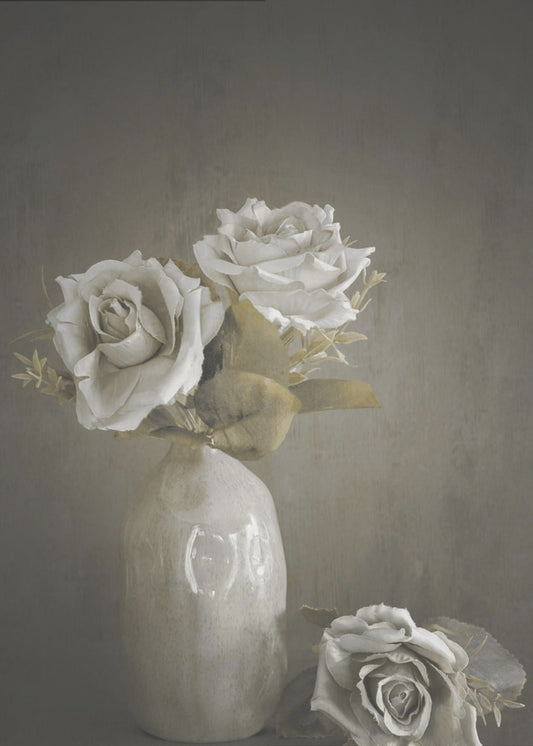 Softened | Poster
