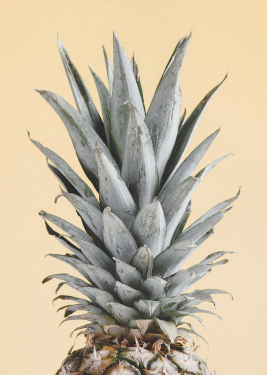 Pineapple Yellow 04 | Poster