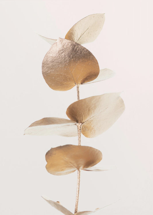 Eucalyptus Gold No 06 | Poster