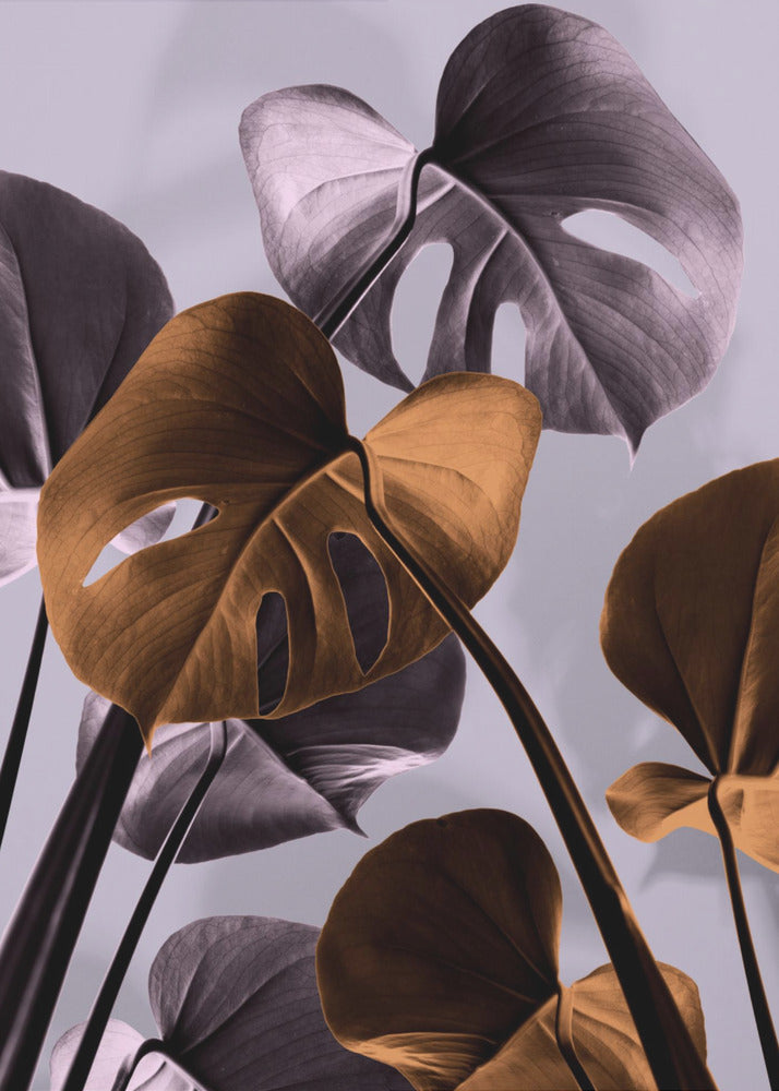 Monstera Purple 01 | Poster