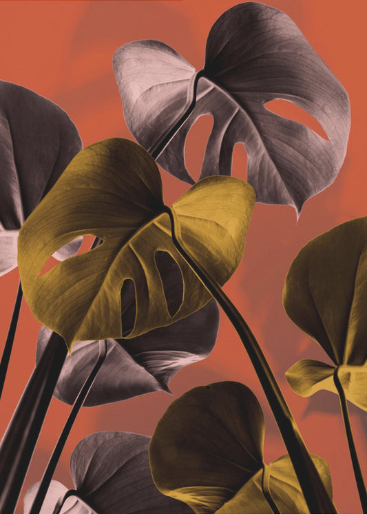 Monstera Orange 01 | Canvas