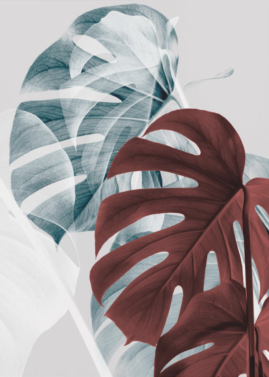 Monstera Creative 18 | Poster