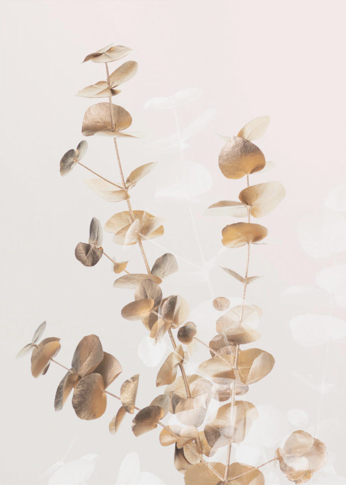 Eucalyptus Creative Gold 03 | Poster