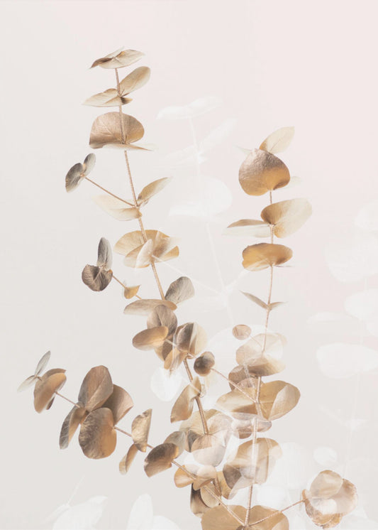 Eucalyptus Creative Gold 03 | Poster