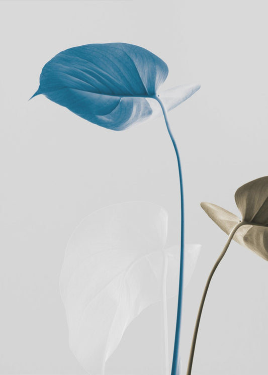 Monstera Creative 19 | Poster