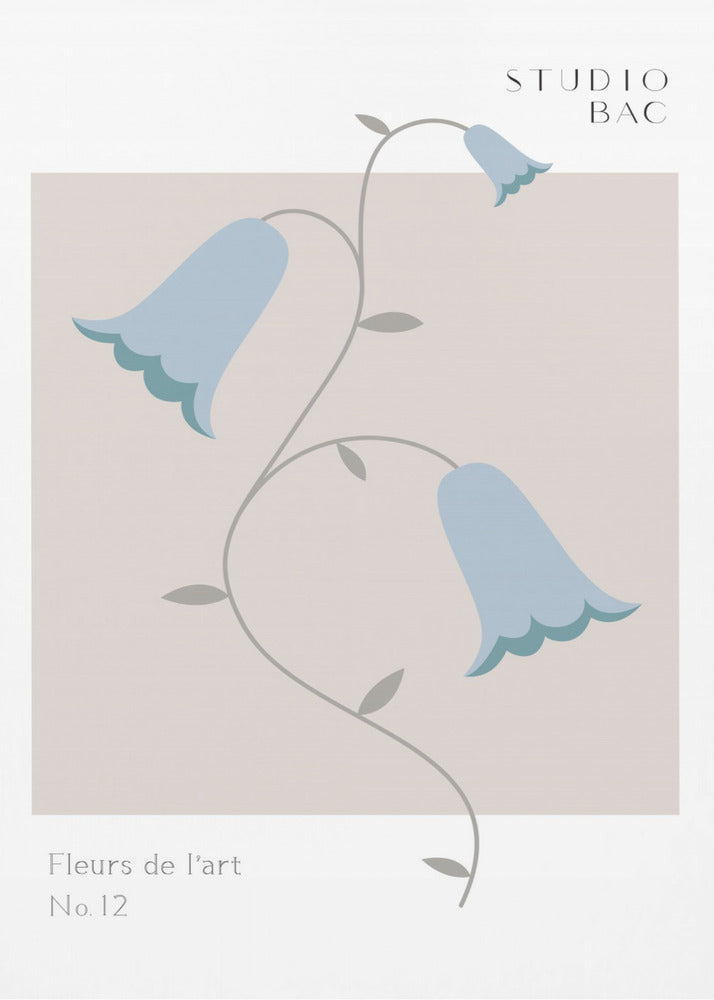 Bluebells Studio Bac | Canvas