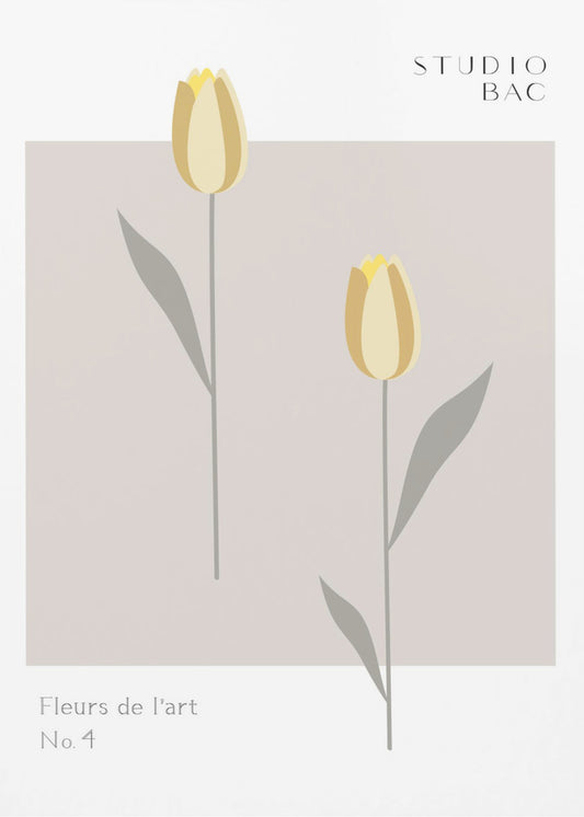 Tulips Studio Bac | Poster