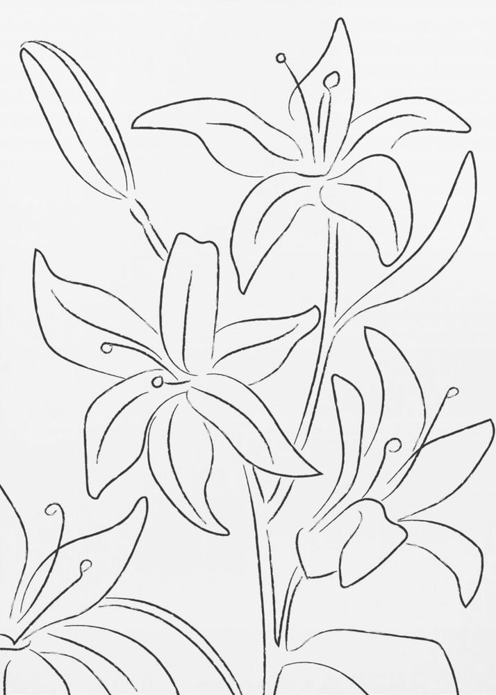 Lillies No 02 | Poster