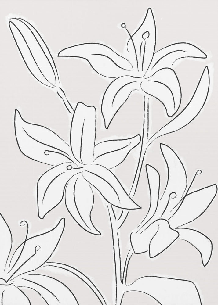 Lillies No 03 | Poster