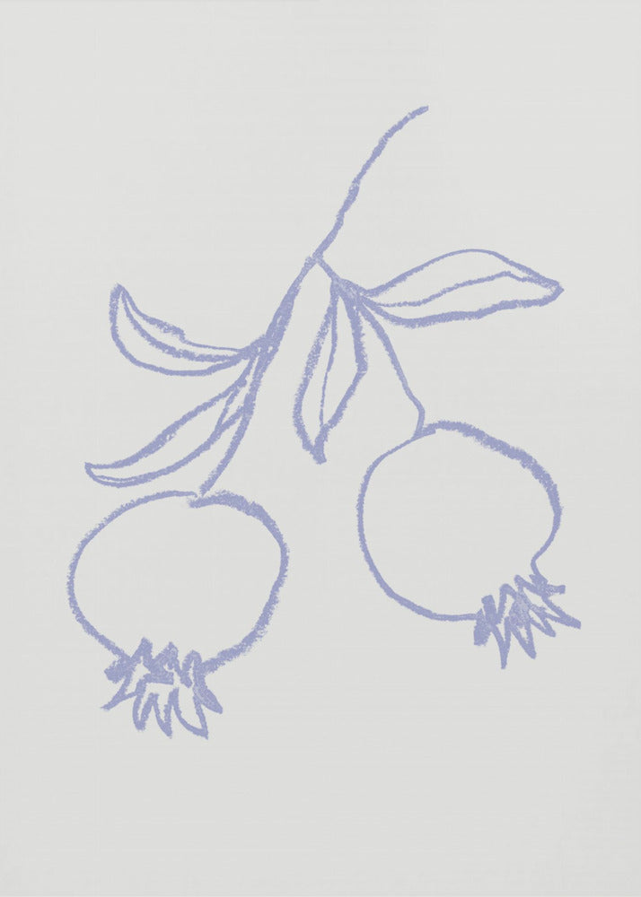 Pomegranate Lilac | Canvas