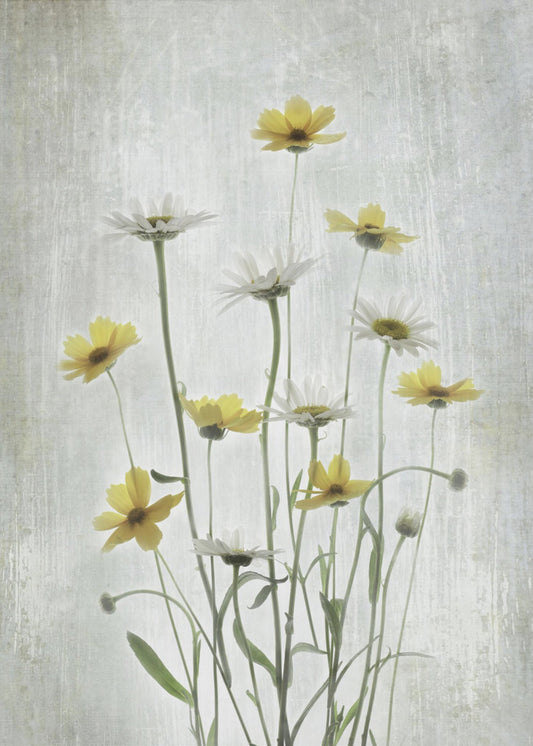 Summer Flowers | Canvas