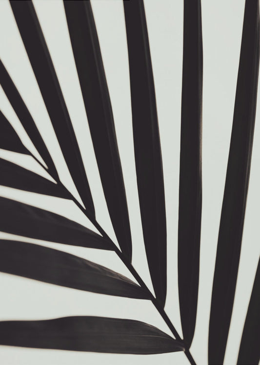 Graphic palm leaf_1 | Poster