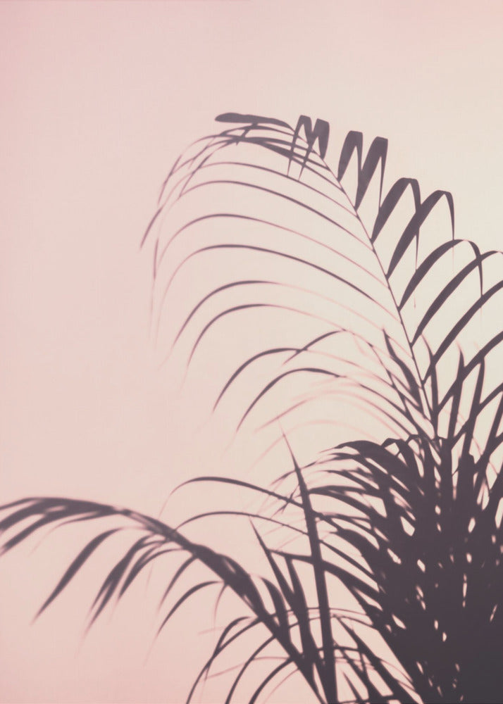 Palm Leaves_1 | Canvas