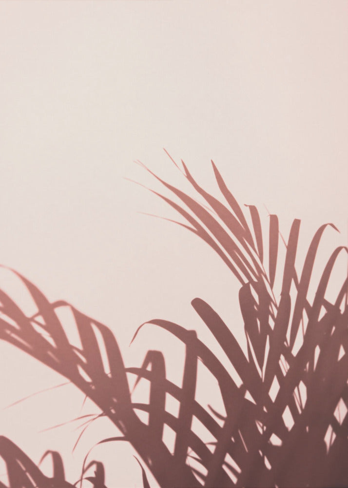 Palm leaves_2 | Canvas