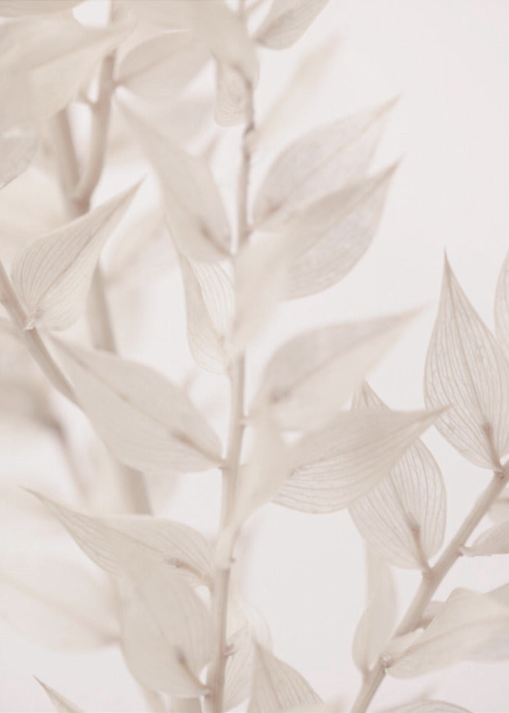 Dried Straws_3 | Canvas