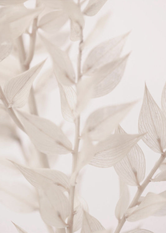 Dried Straws_3 | Canvas