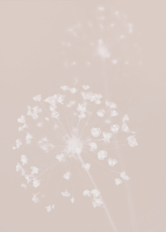 Dried Flower Pink | Canvas