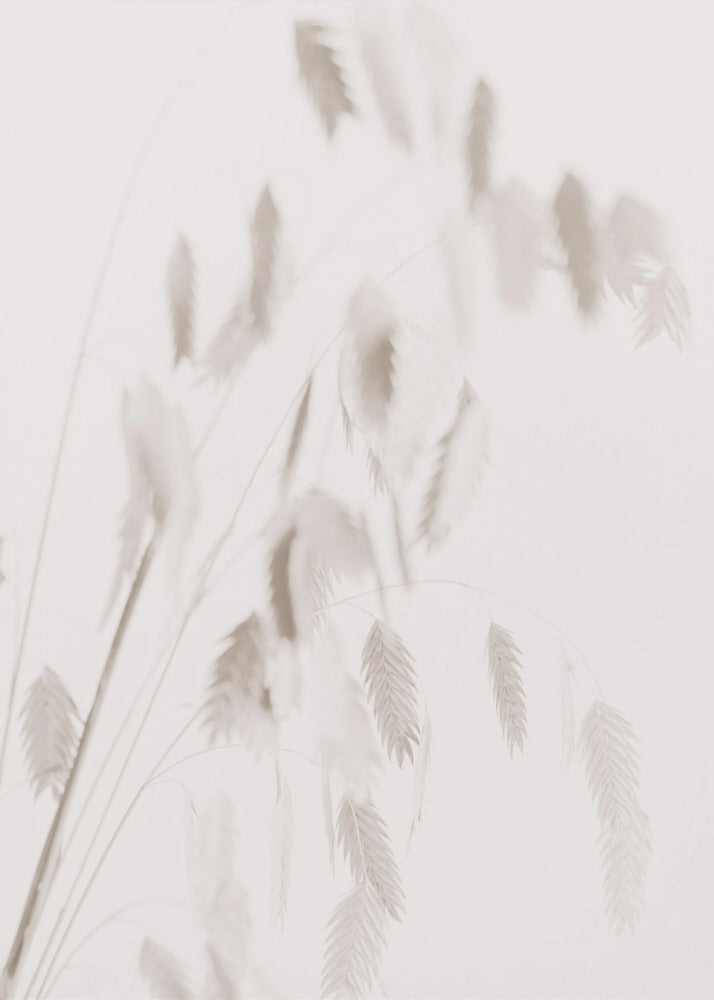 Dried Grass_pink | Poster