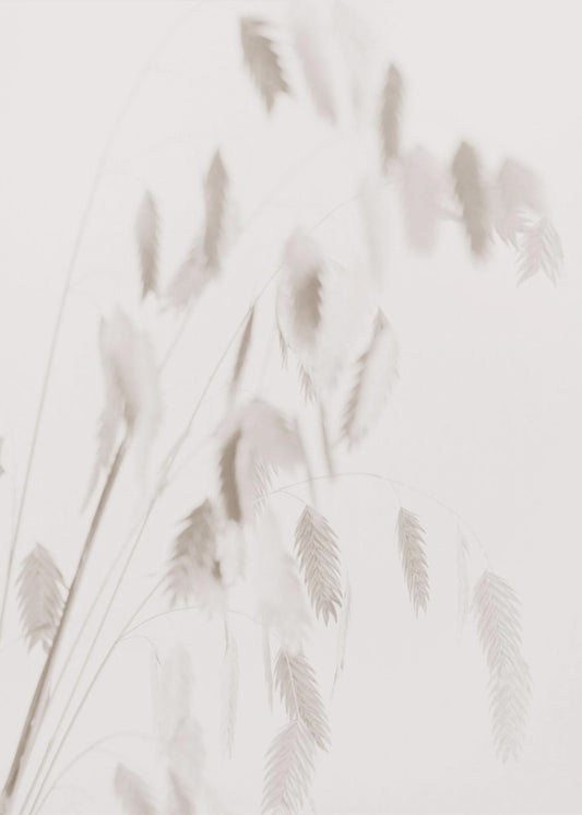 Dried Grass_pink | Canvas