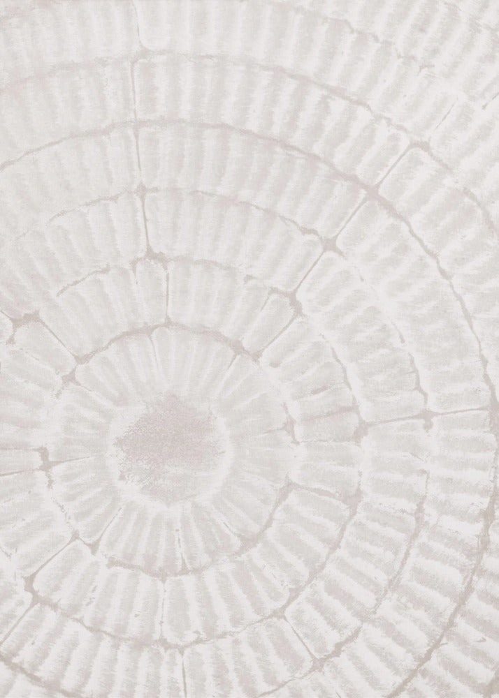 Pattern_plate_1 | Poster