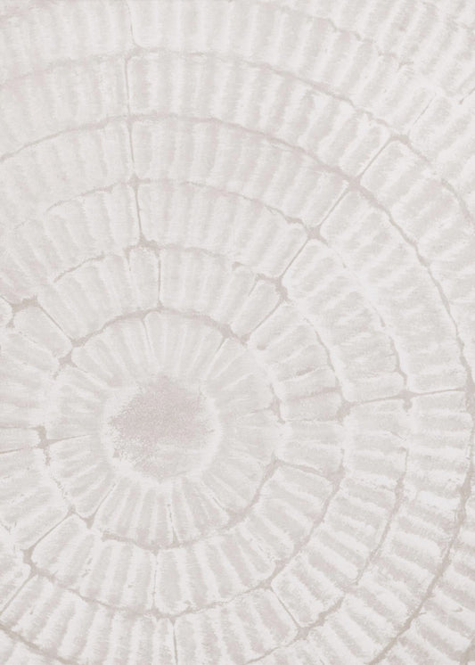 Pattern_plate_1 | Poster