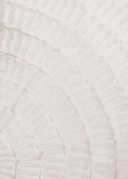 Pattern plate_beige_2 | Poster