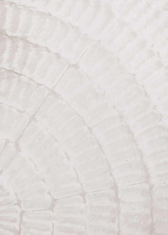 Pattern plate_beige_2 | Canvas