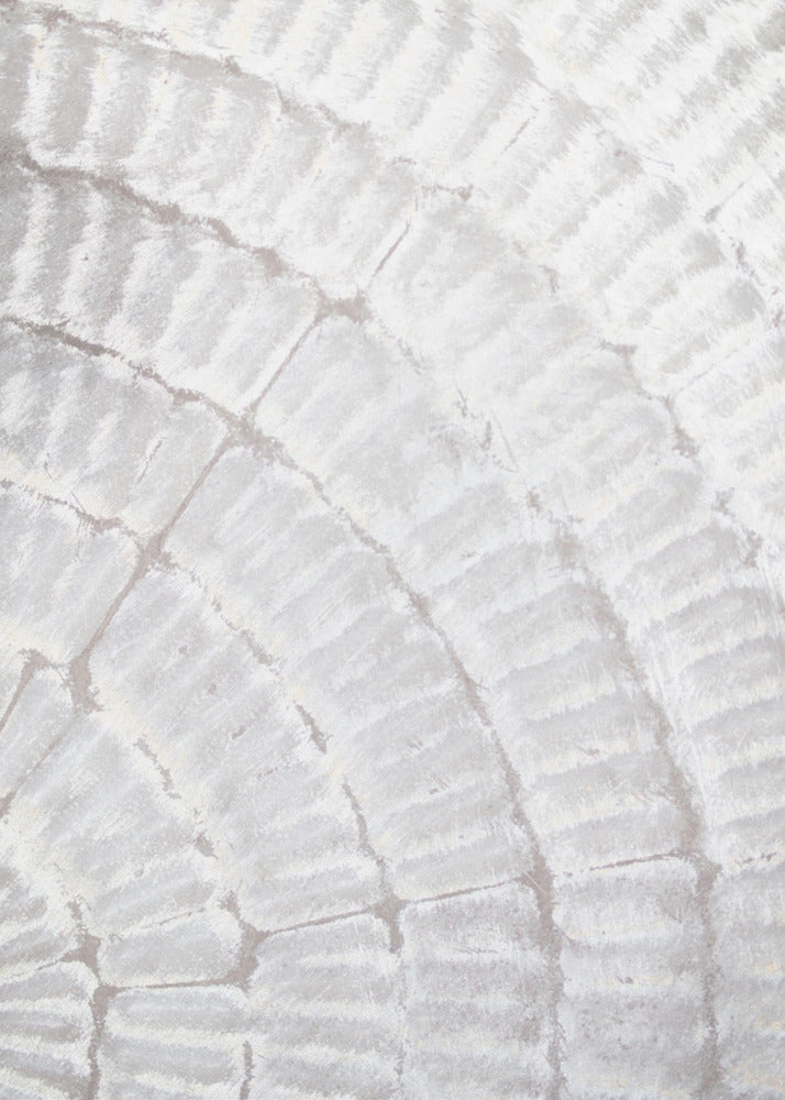 Pattern plate_grey_2 | Poster