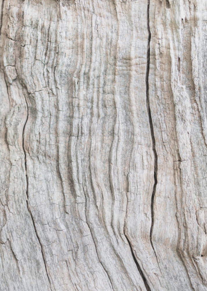 Wood Pattern | Poster