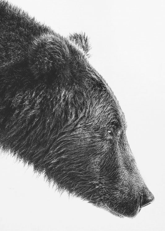 The Salmon Catcher | Poster