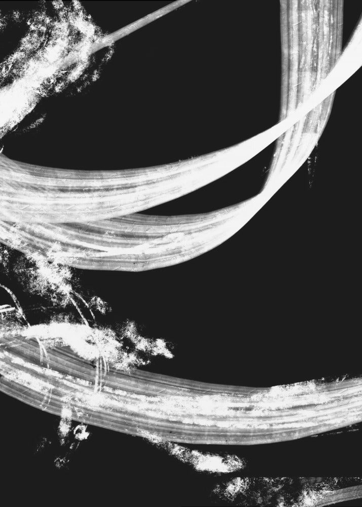 negatives_006_tapestry | Canvas