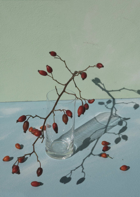 Light &amp; shadow | Canvas