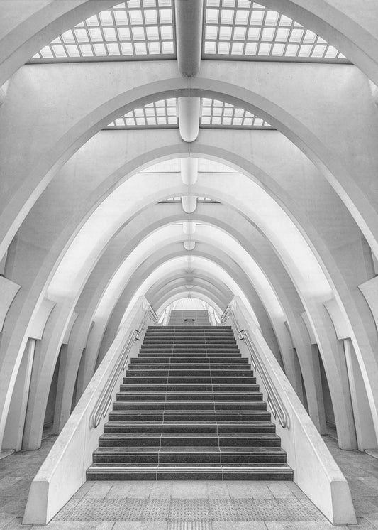 Calatrava lines | Poster