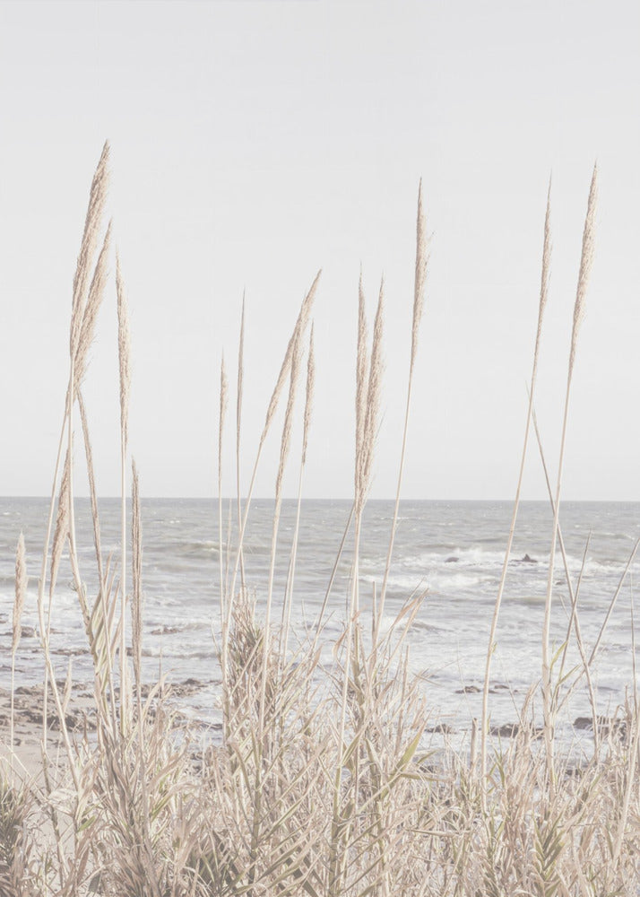 Beach_Vass_001 | Canvas