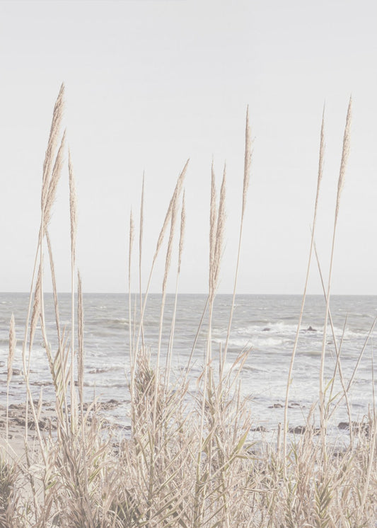 Beach_Vass_001 | Canvas
