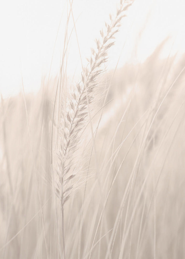 Grass_001 | Canvas