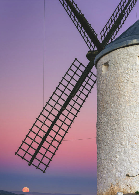 DON QUIXOTE'S DREAM | Poster