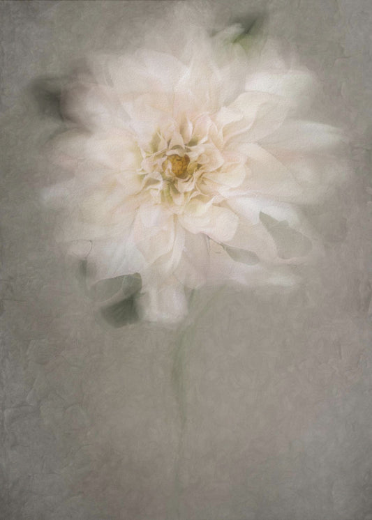 For the Bride | Canvas