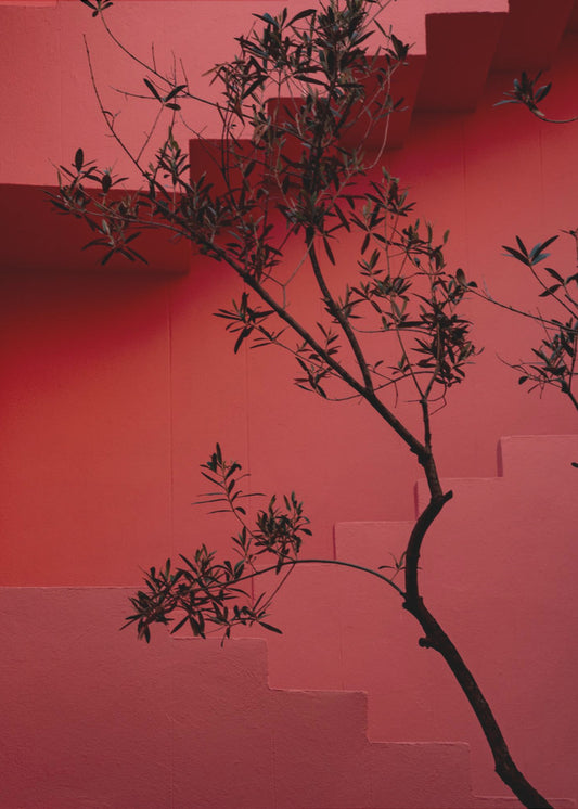 Muralla Roja #14 | Canvas