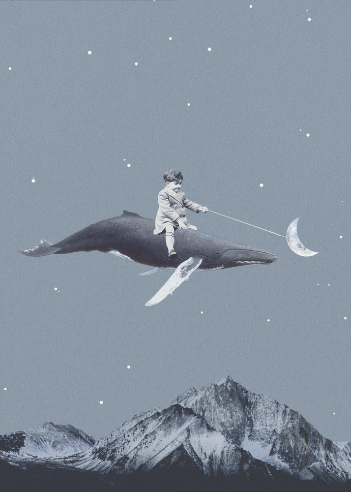 Aim for the moon | Poster