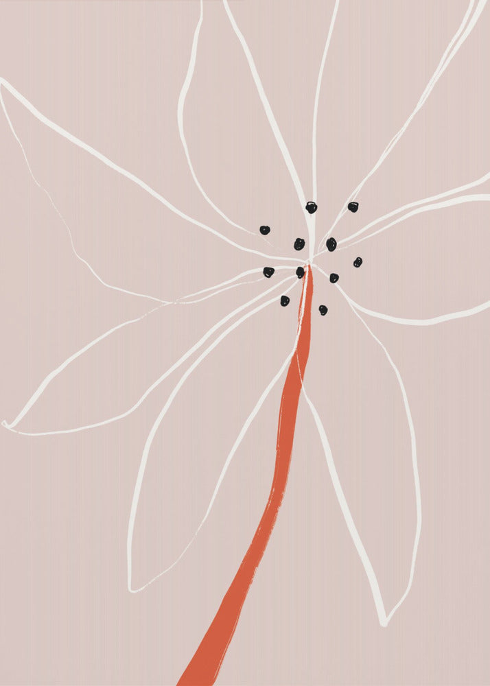 Delicate Abstract Flower with White Petals | Canvas