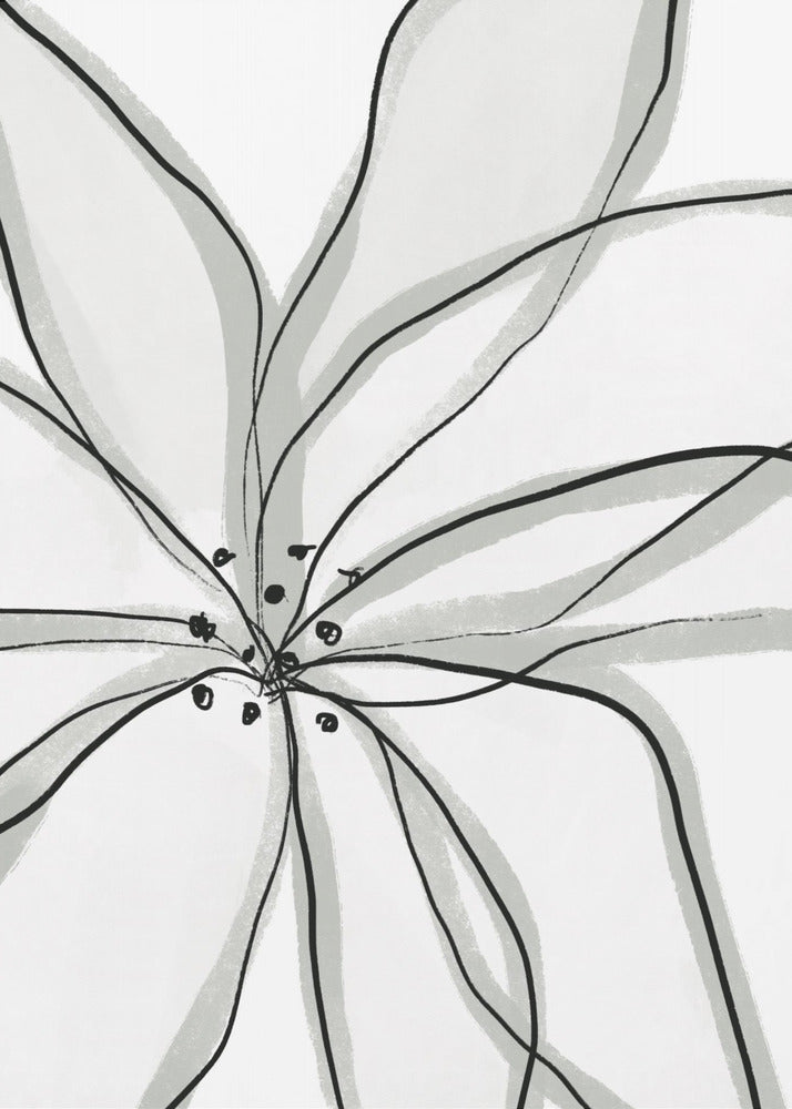 Delicate Flower Petals | Poster