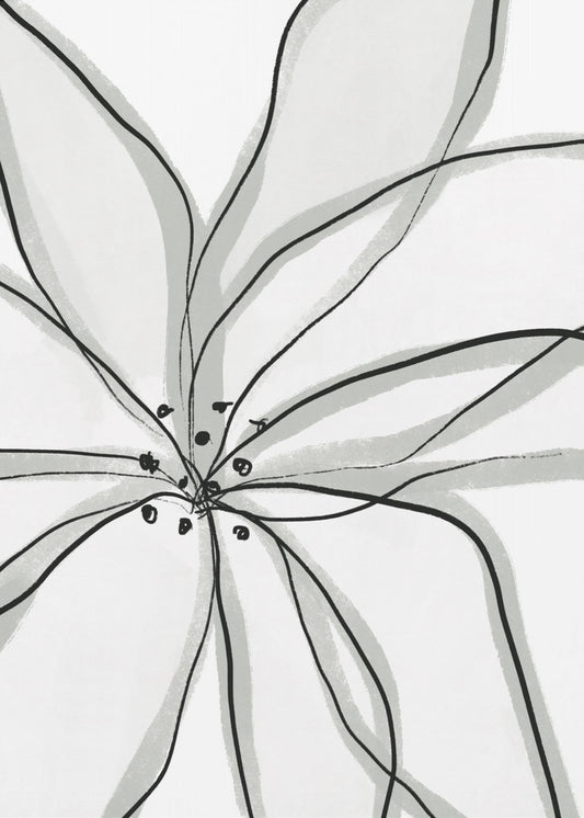 Delicate Flower Petals | Poster
