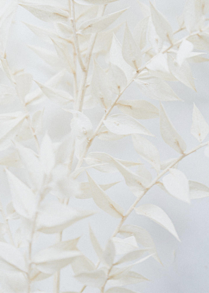 Ethereal Leaves | Poster